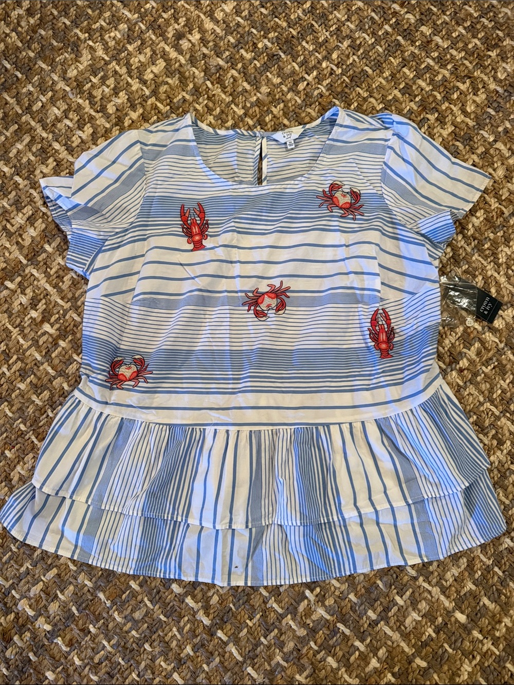 crown & ivy Blue and White Striped Shirt with Nautical Embroidery